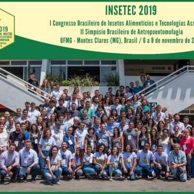 Co-organização do Insetec 2019 – com a UFMG Campus Montes Claros