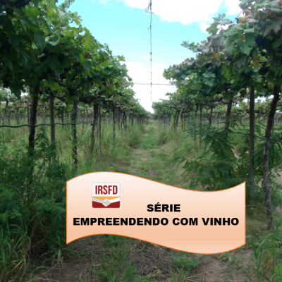 SÉRIE IRSFD – EMPREENDENDO COM VINHO                                      P.01 Por onde começar???