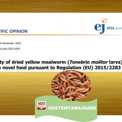 EFSA avalia e aprova a segurança do consumo das larvas do Tenébrio