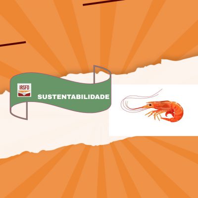 Bioplástico obtido a partir de casca de camarão