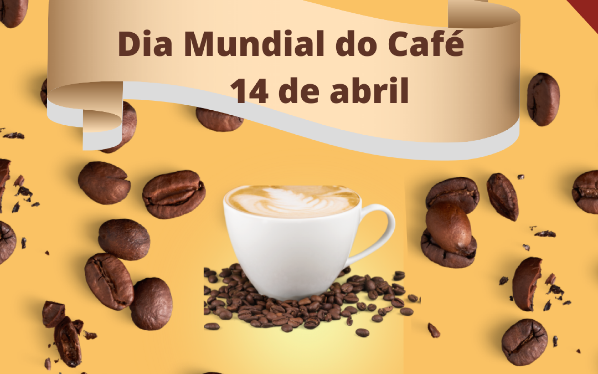 IRSFD – Dia Mundial do Café – Categorias de Café